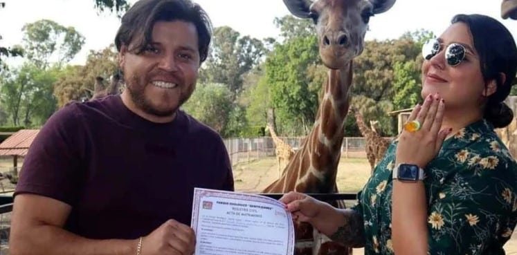 Cásate en el Zoológico … con una jirafa como testigo