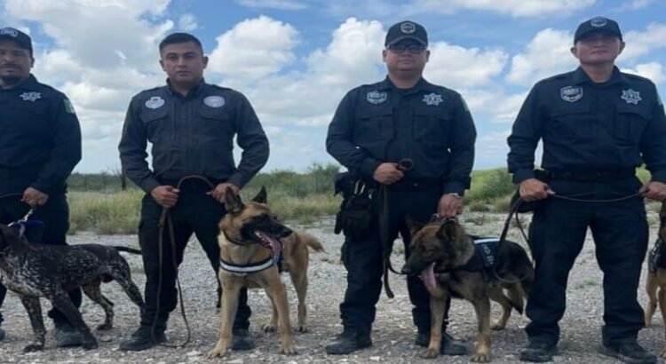 Los binomios caninos de Coahuila se suman para la búsqueda de víctimas de inundaciones en Texas