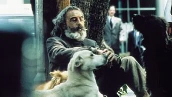 “Amores Perros” celebra 25 años con función especial en Bellas Artes