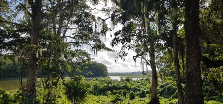 Destinos turísticos deben ver a la naturaleza como una inversión: Conanp