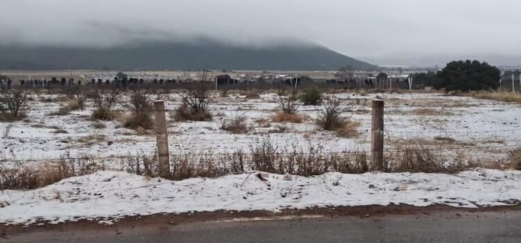 Con posible caída de nieve en Coahuila, las autoridades llaman a extremar las precauciones